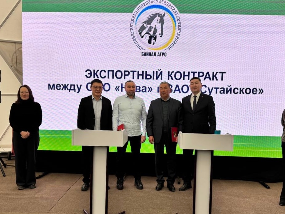 Бурятия возобновляет масштабный экспорт племенного скота после снятия ветеринарных ограничений